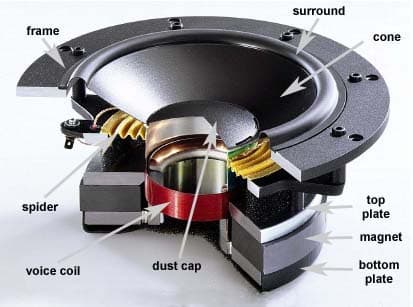 Speaker-Cross-Section