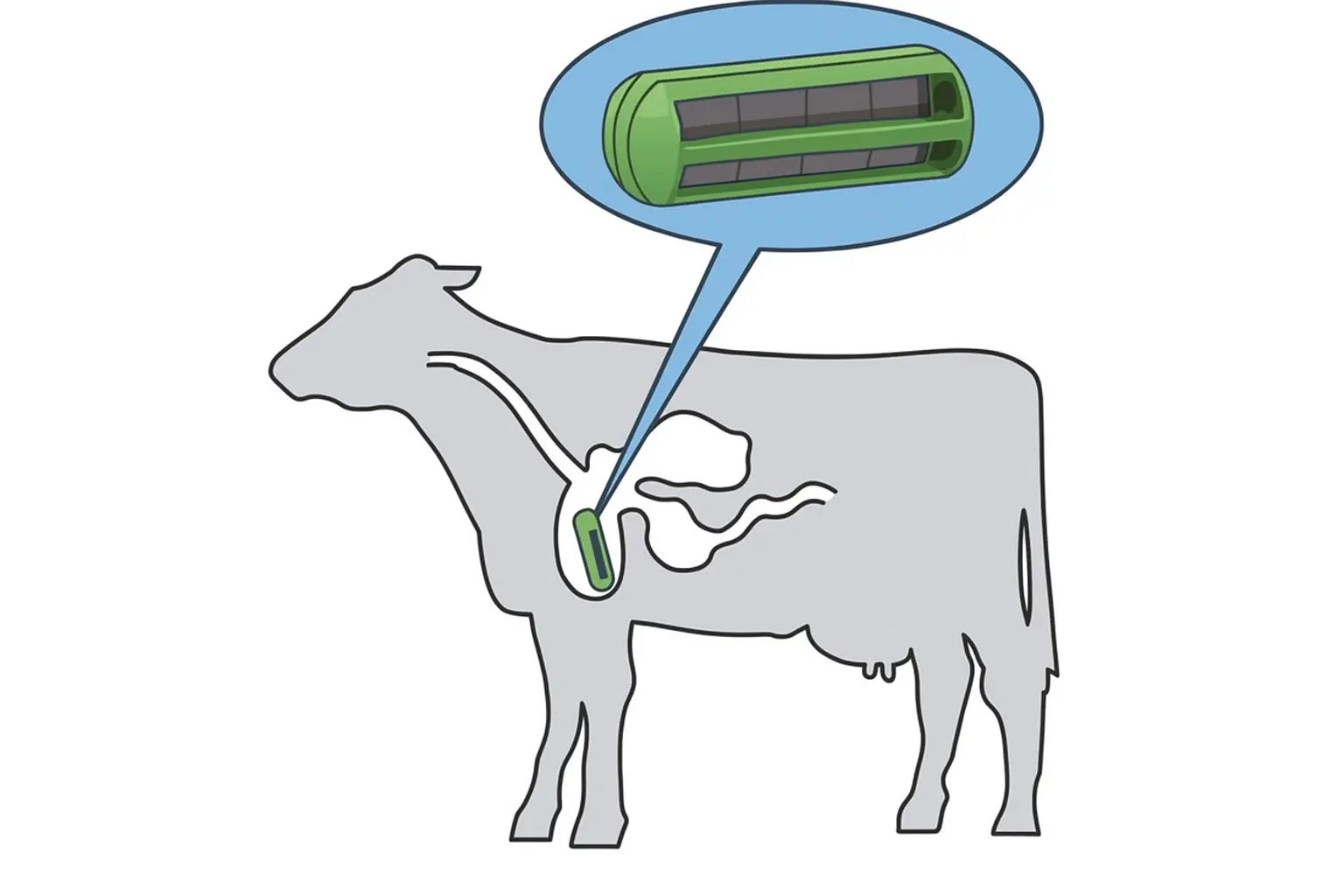 Pourquoi les aimants pour vaches AlNiCo sont le meilleur choix pour protéger votre troupeau