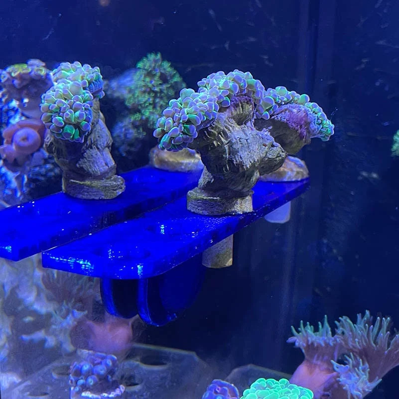 Aimants en néodyme pour le montage et la décoration d'équipements d'aquarium