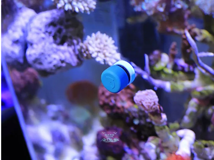 Aimants en néodyme dans les aquariums et les applications en eau salée